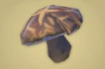 Zelda Tears of the Kingdom - Receta Seta recia asada