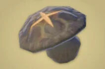 Zelda Tears of the Kingdom - Receta Seta robusta asada