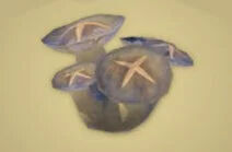 Zelda Tears of the Kingdom - Receta Seta luminosa asada