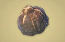 Zelda Tears of the Kingdom - Receta Trufa vivaz asada