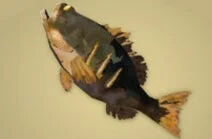 Zelda Tears of the Kingdom - Receta Lubina vivaz asada