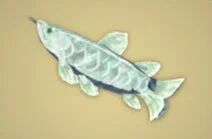 Zelda Tears of the Kingdom - Receta Arowana helado