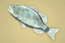 Zelda Tears of the Kingdom - Receta Lubina helada