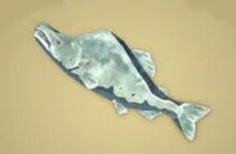 Zelda Tears of the Kingdom - Receta Salmn vivaz helado