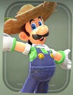 Mario Kart World - Traje Luigi Granjero