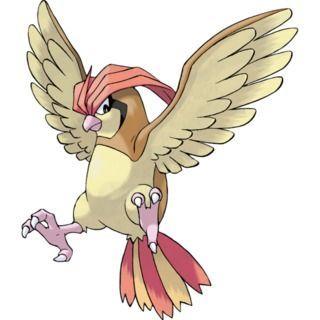 Pidgeotto pokémon GO
