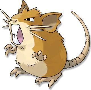 Raticate Pokémon GO