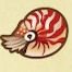 Animal Crossing: New Horizons - Todas las criaturas submarinas: Nautilo