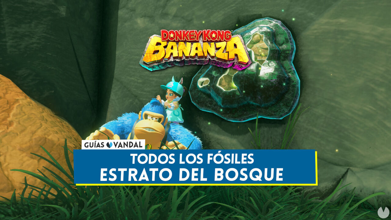 Todos los fsiles de Estrato del bosque en Donkey Kong Bananza - Localizacin - Donkey Kong Bananza