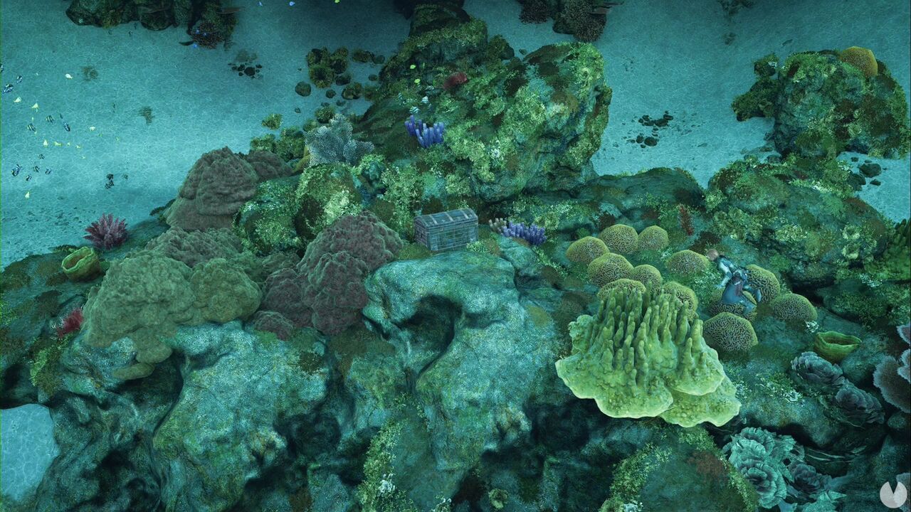 Assassin's Creed Black Flag Resynced - Dry Tortuga chests, location of the secret chest in the northeastern corner of the region