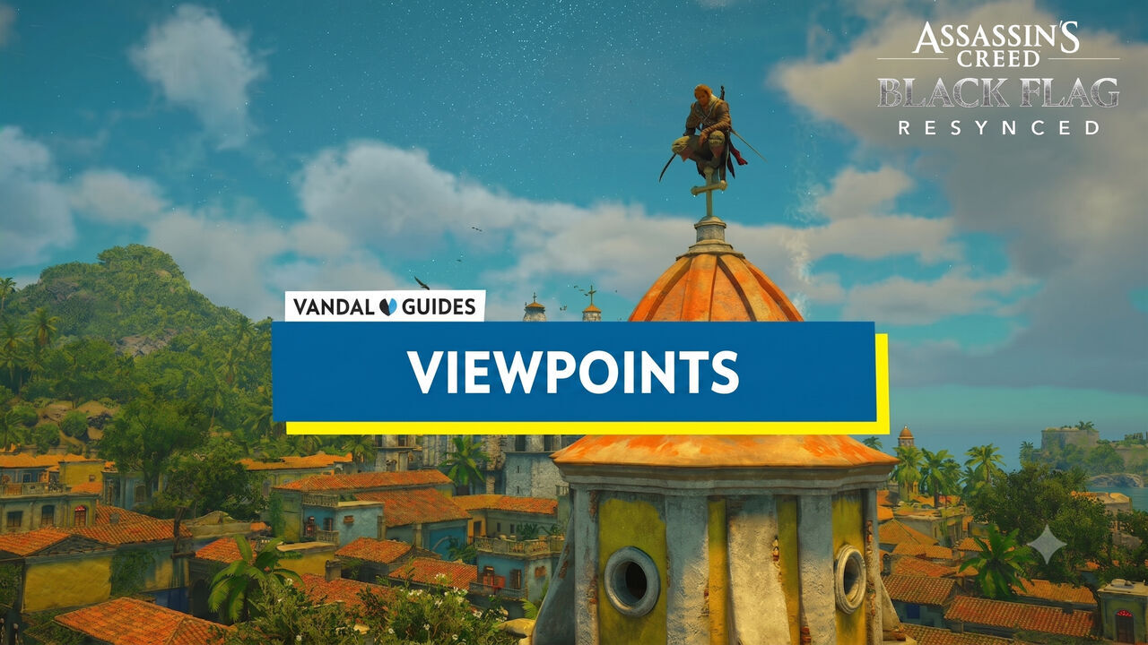 Assassin's Creed Black Flag Resynced - Viewpoints section cover