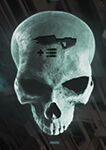 Halo: Campaign Evolved - How to get the Magnified skull