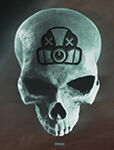 Halo: Campaign Evolved - How to get the Grunt Funeral skull