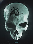 Halo: Campaign Evolved - How to get the Pop skull