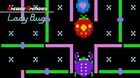 Arcade Archives Lady Bug