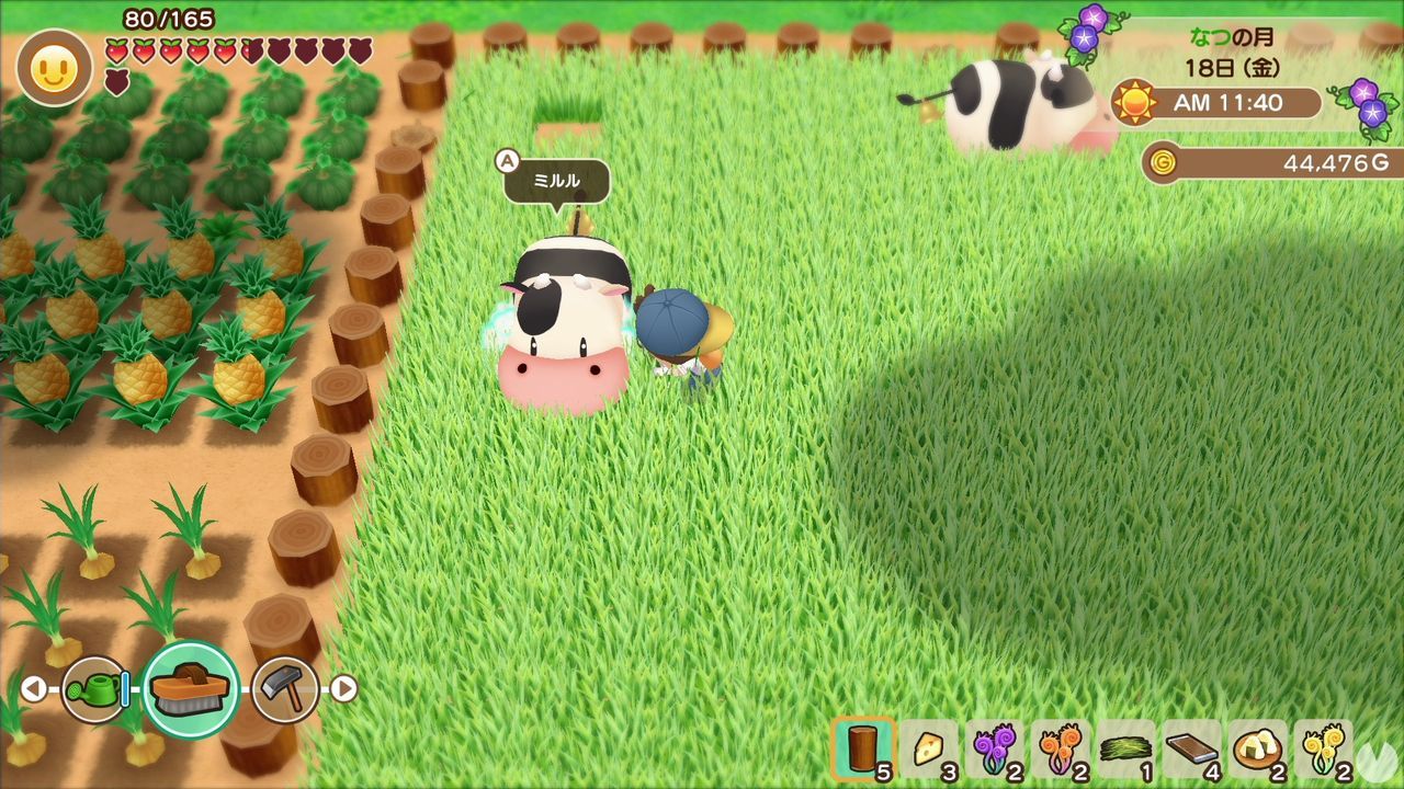 Marvelous published in Europe, Story of Seasons: Friends of Mineral Town