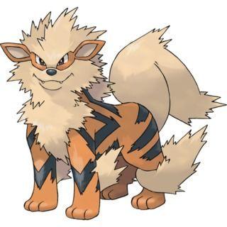 Arcanine Pokémon GO
