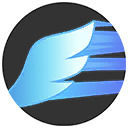 Pokémon Unite Talonflame - Gale Wings