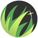 Pokémon Unite Venusaur - Overgrow