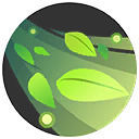 Pokmon Unite Eldegoss - Leafage