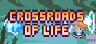 Crossroads of life