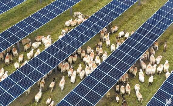 Paneles solares