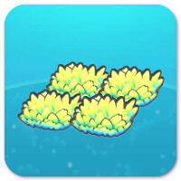 Pok�mon Pokopia - H�bitat Herbazal marino