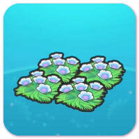 Pok�mon Pokopia - H�bitat Lecho de flores ondulantes