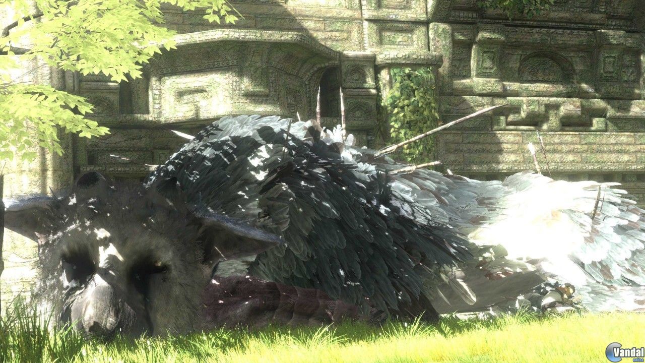 520