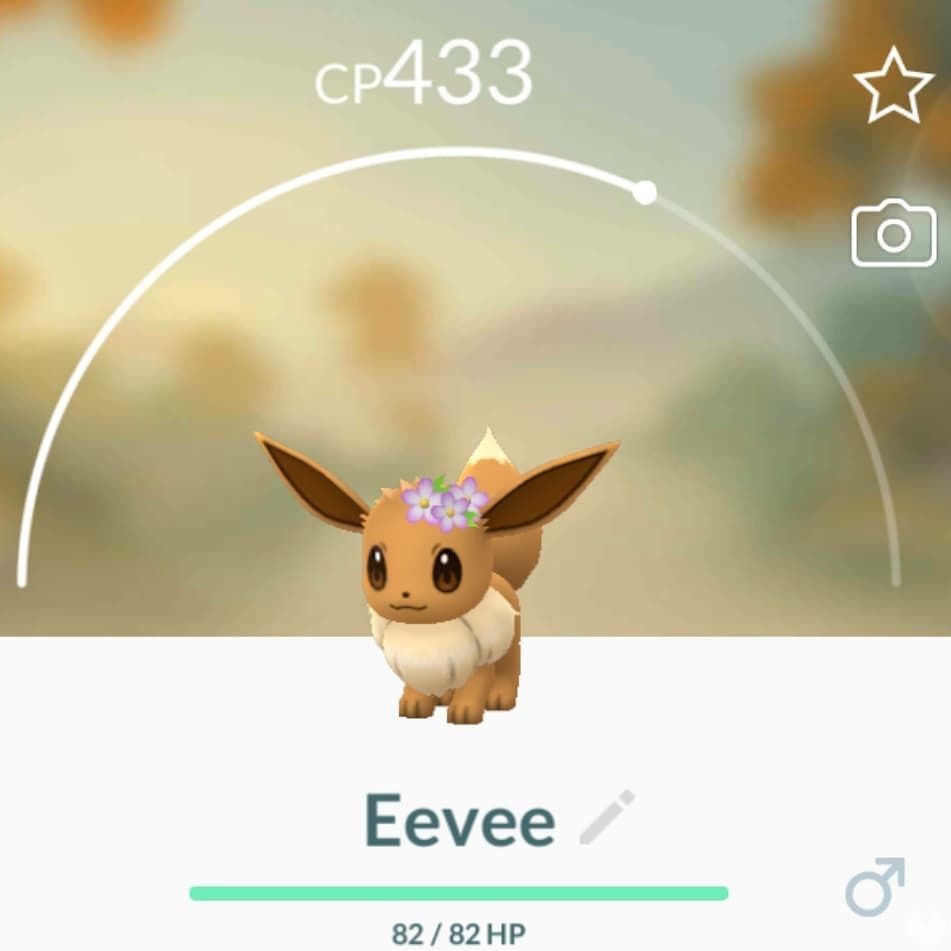 Pokémon Go Cómo Conseguir A Eevee Y Sus Evoluciones Con