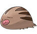 Swinub en Pokédex Noroteo