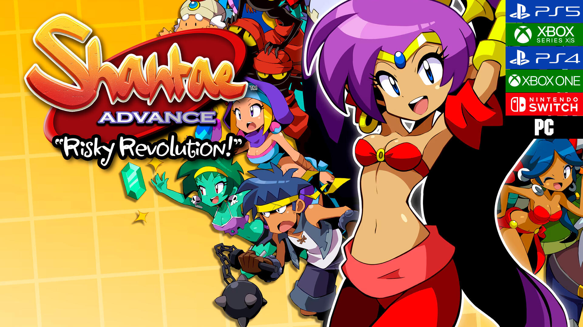 Shantae Advance: Risky Revolution