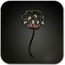 Hollow Knight Silksong - Diario de caza: Balanok