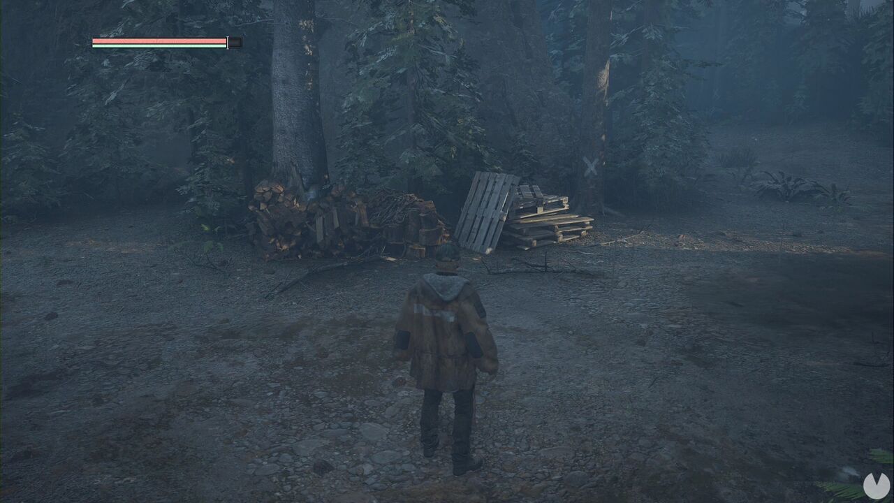 Hell is Us - Senedra Forest, tree marked with an X in the Caddell Family Treasure area