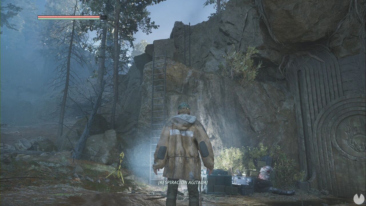 Hell is Us - Senedra Forest, ladder used to continue
