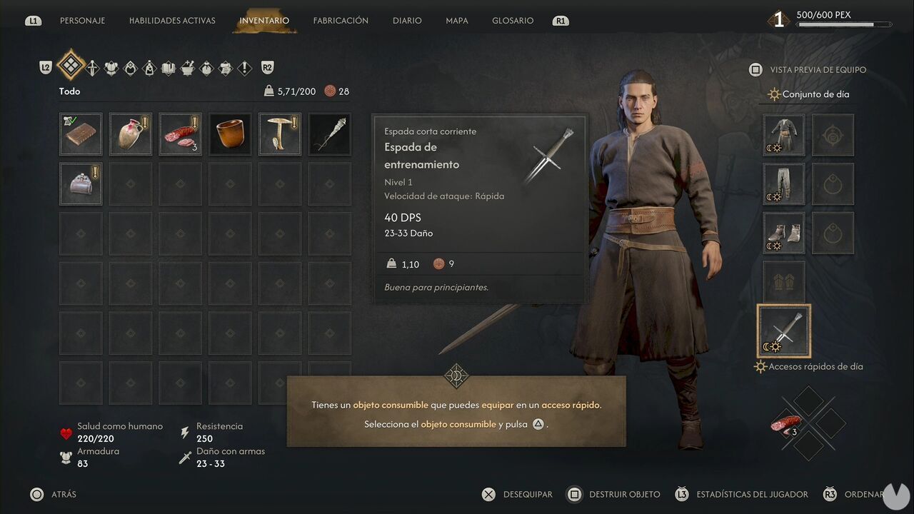 The Blood of Dawnwalker - Withering Away; inventory menu with the Training Sword equipped