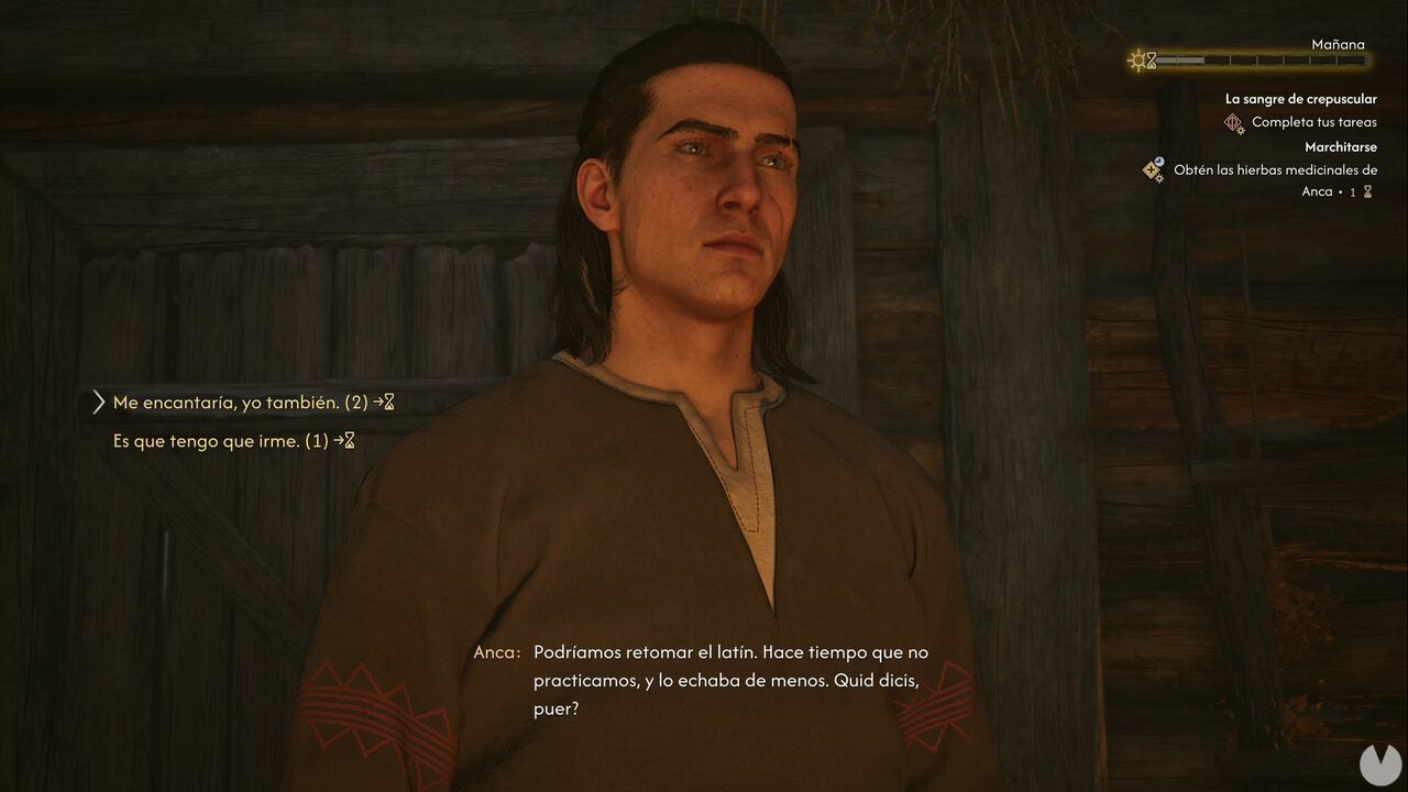 The Blood of Dawnwalker - Withering Away; Coen's conversation with Anca that can start a side quest