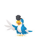 Squawkabilly (Plumaje Azul) en Pokémon Champions