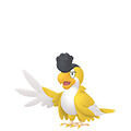 Squawkabilly (Plumaje Amarillo) en Pokémon Champions