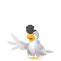 Squawkabilly (Plumaje Blanco) en Pokémon Champions