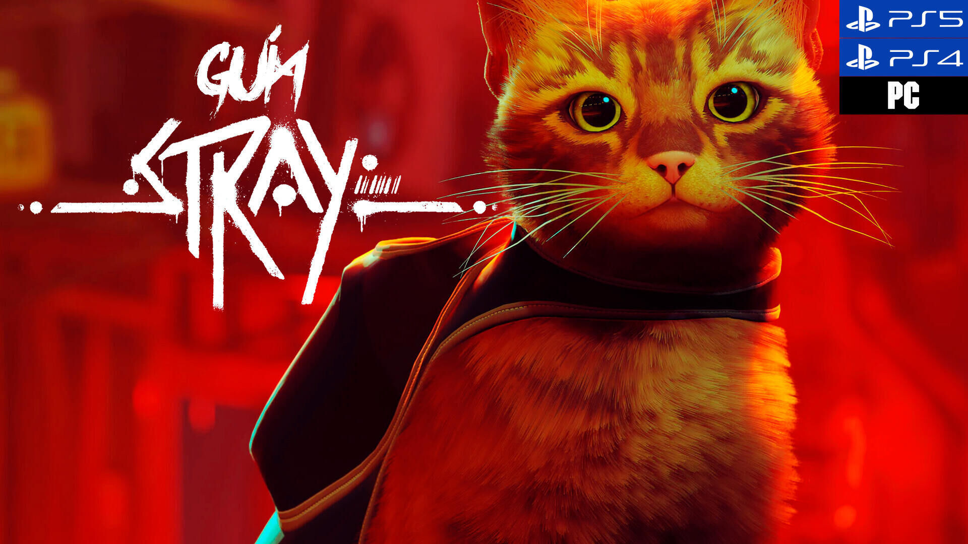 Desbloquear o Stray no Steam e PS com uma VPN para Jogo de Gato Stray