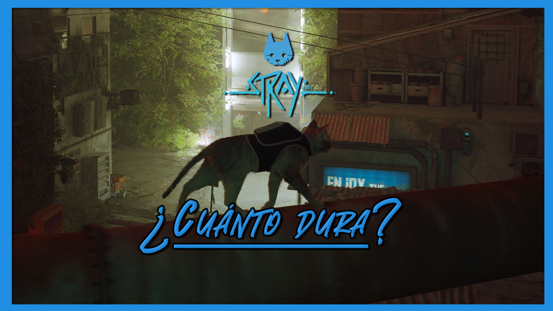 Stray  Quanto tempo leva para zerar o jogo do gato? - Canaltech