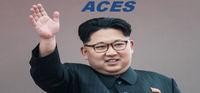 Portada oficial de Area Cooperation Economic Simulation: North Korea (ACES) para PC
