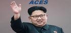 Portada oficial de de Area Cooperation Economic Simulation: North Korea (ACES) para PC