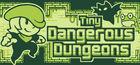 Portada oficial de de Tiny Dangerous Dungeons para PC