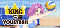 Portada oficial de King of Volleyball para PC