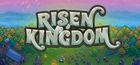 Portada oficial de de Risen Kingdom para PC