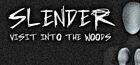 Portada oficial de de Slender: Visit into the Woods para PC
