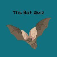 Portada oficial de The Bat Quiz para PS5