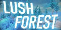 Portada oficial de Lush Forest para Switch